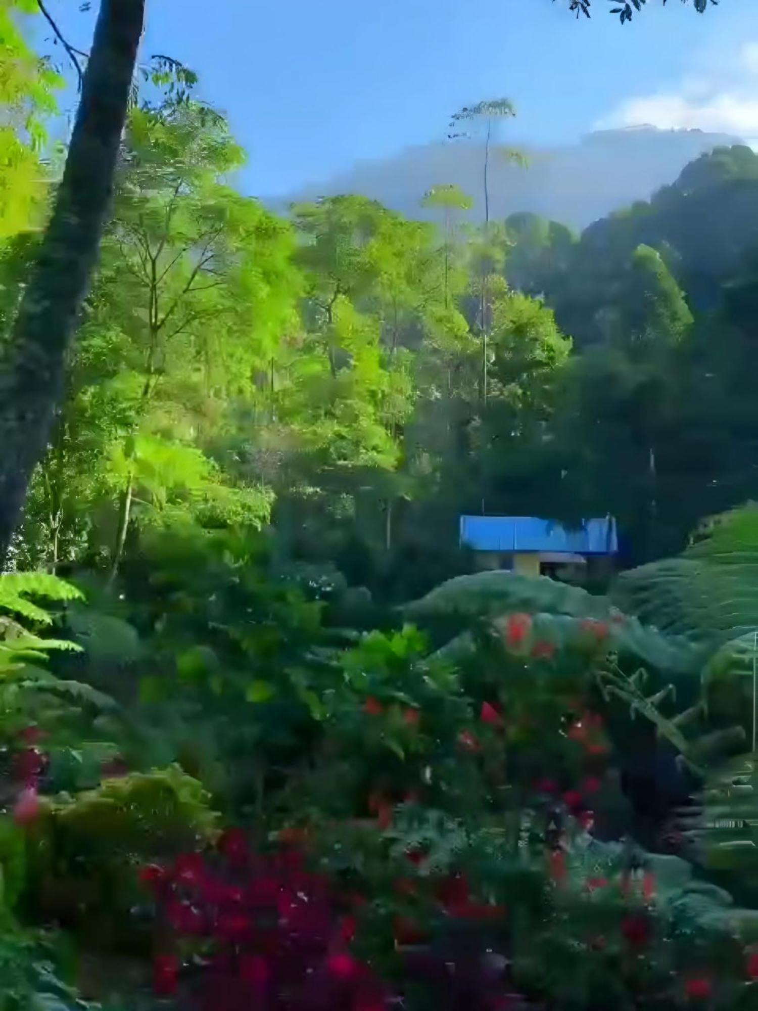 Penginapan Nuansa Riung Gunung Hotel Pangalengan ภายนอก รูปภาพ